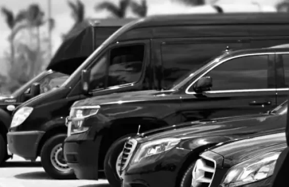 Wedding Transportation